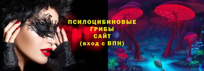 Галлюциногенные грибы ЛСД  Звенигород 